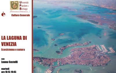 LA LAGUNA DI VENEZIA